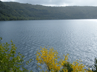 Parco Naturale Regionale di Bracciano - Martignano - Appuntamento al buio