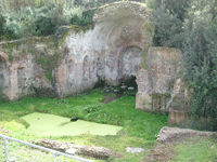 leggi pubblicazione
