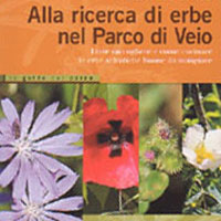 Alla ricerca di erbe nel Parco di Veio