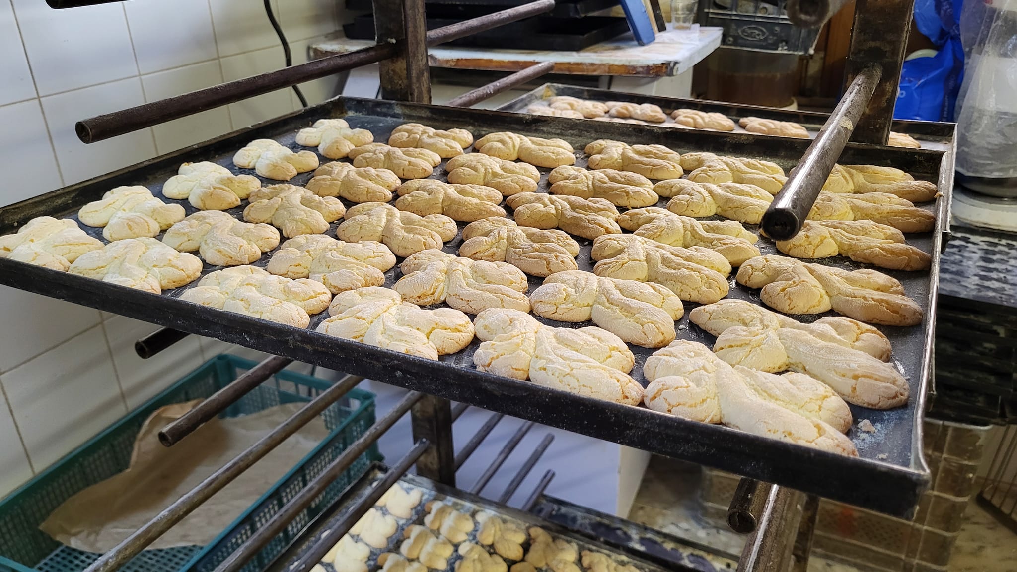 Giglietto di Palestrina