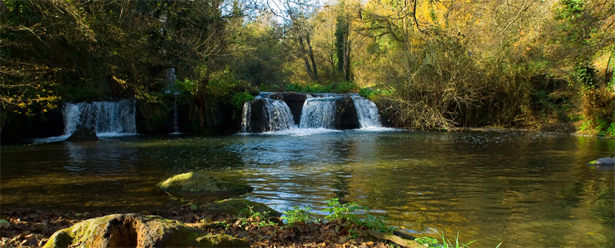 Fiume Treja