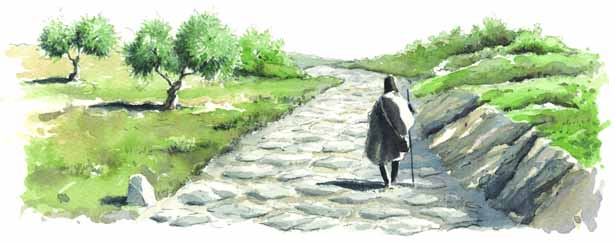 Via Francigena