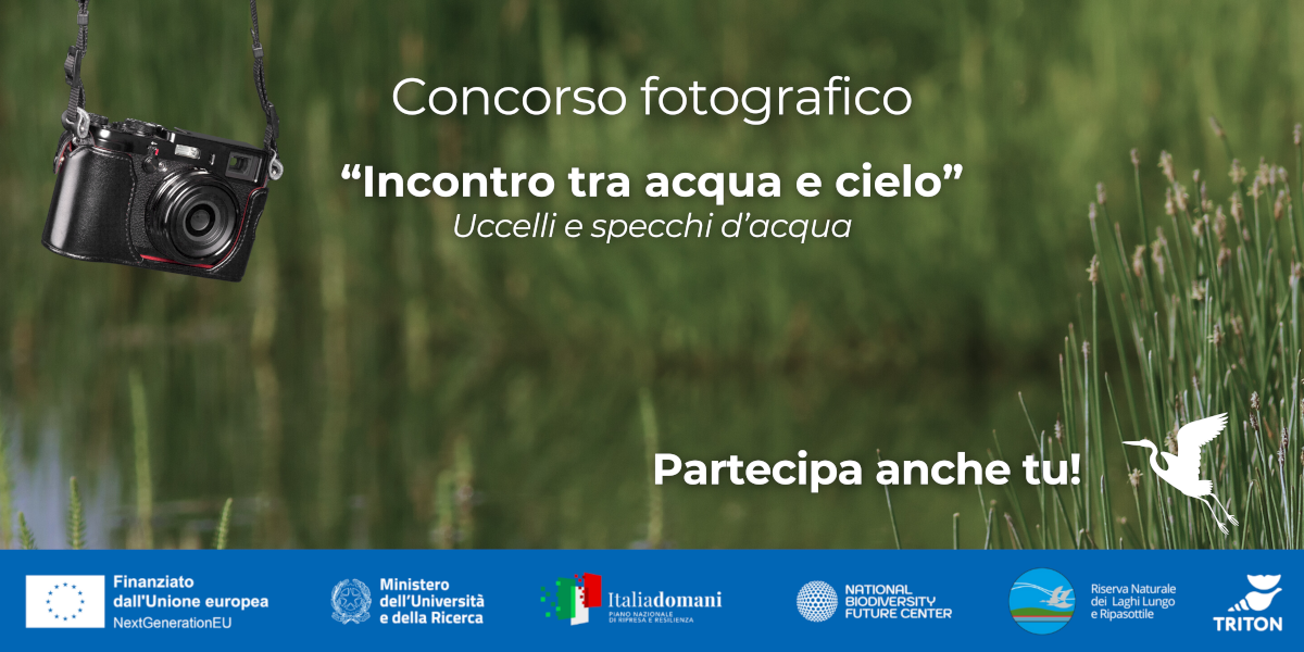 MonOrniTech: Concorso Fotografico "Incontro tra acqua e cielo"