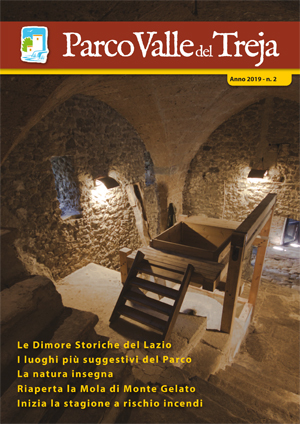 La copertina del giornale di giugno