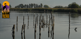 Il Lago di Fondi (Fondi)