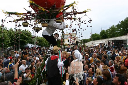 Sagra delle ciliege