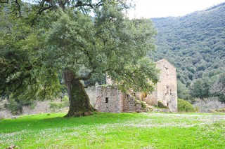 La Sughereta di San Vito (M.S. Biagio)