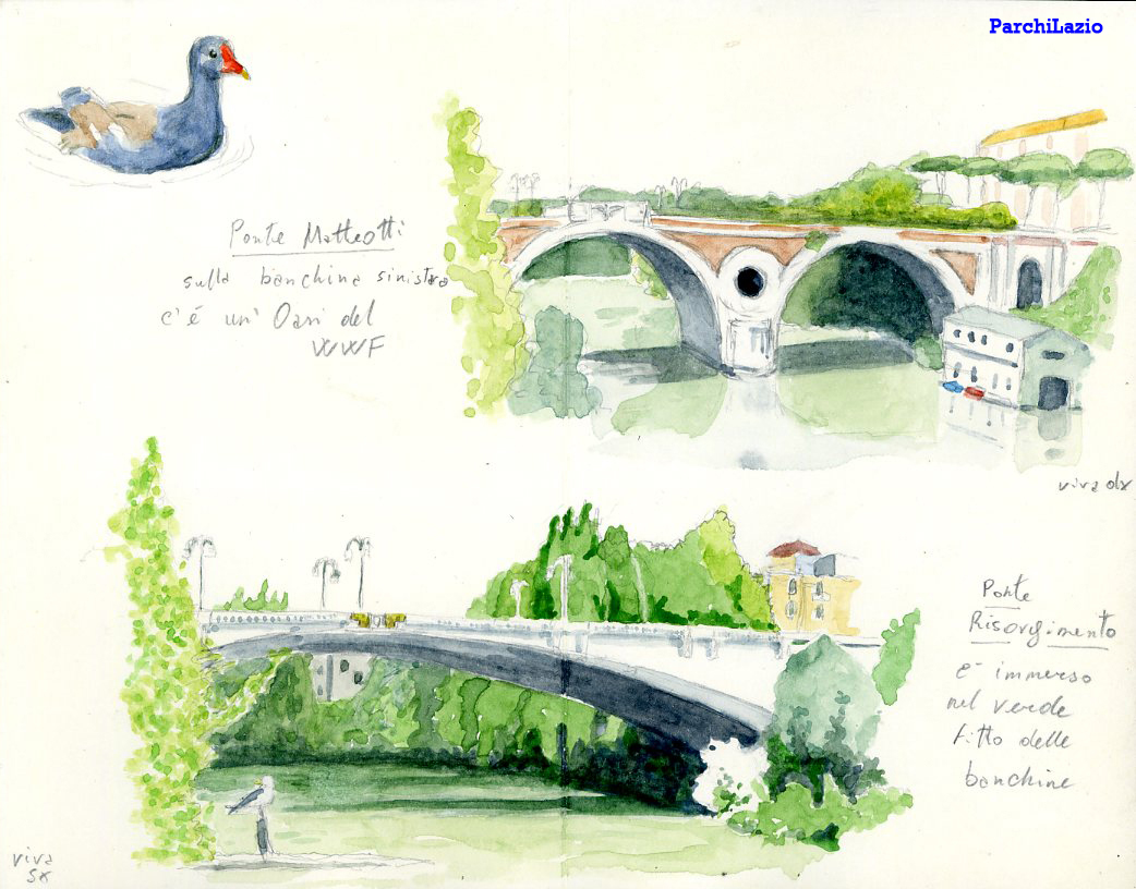 Il Tevere