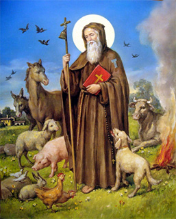 La festa di Sant'Antonio