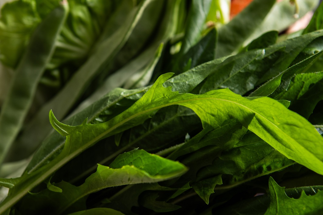 Broccoletti di rapa biologici