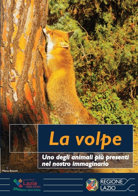 Una volpe "catturata" da una fototrappola nel Parco