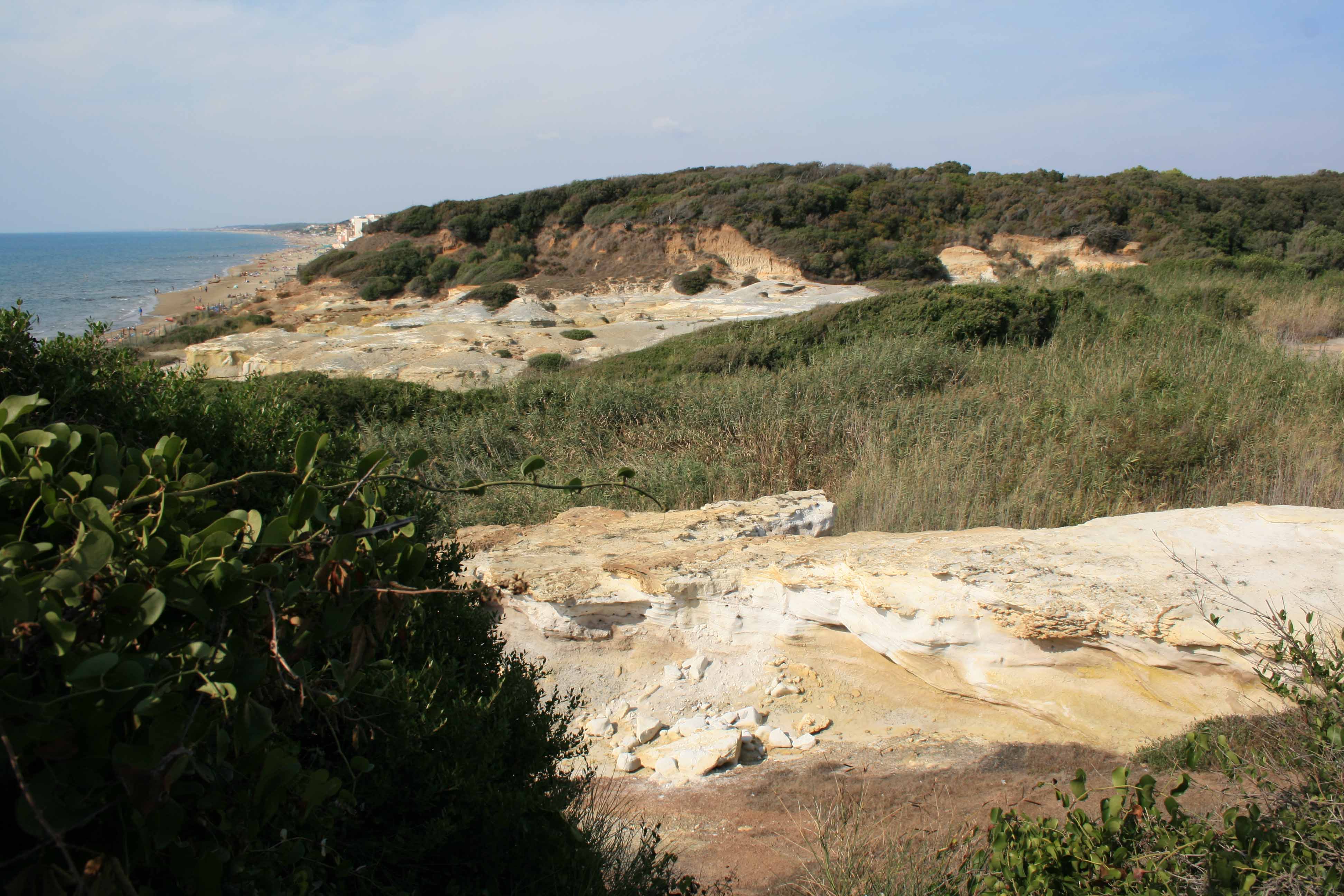 Riserva naturale regionale Tor Caldara
