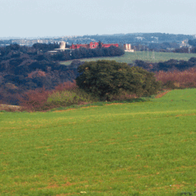 Ente Regionale RomaNatura - Monumento Naturale Quarto degli Ebrei - Tenuta di Mazzalupetto