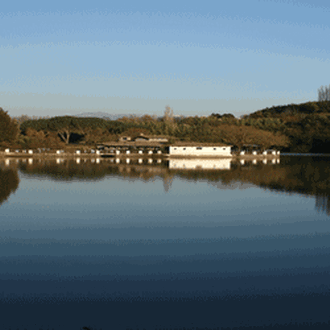 Selva di Paliano e Mola di Piscoli