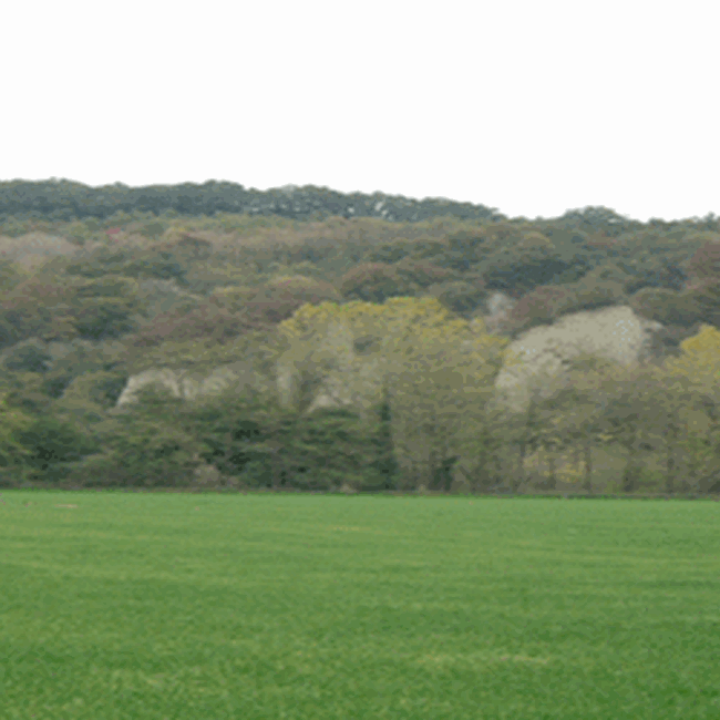 Monte Casoli di Bomarzo
