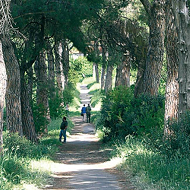 Ente Regionale RomaNatura - Parco Regionale Urbano di Aguzzano