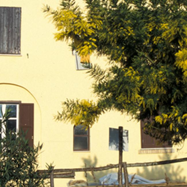 Ente Regionale RomaNatura - Riserva Naturale della Marcigliana