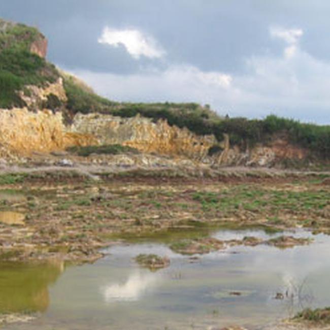Ente Regionale RomaNatura - Riserva Naturale di Decima Malafede