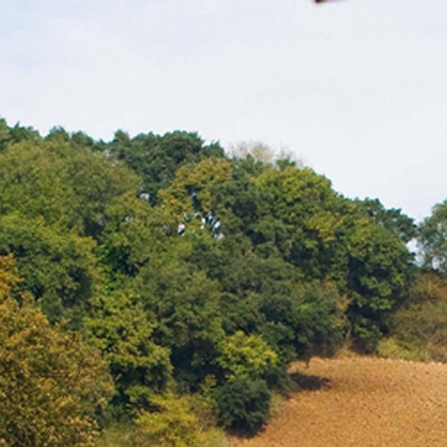 Ente Regionale RomaNatura - Riserva Naturale dell'Insugherata