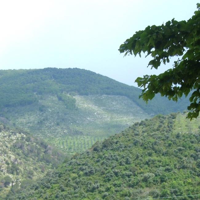 Acquaviva – Cima del Monte – Quercia del Monaco