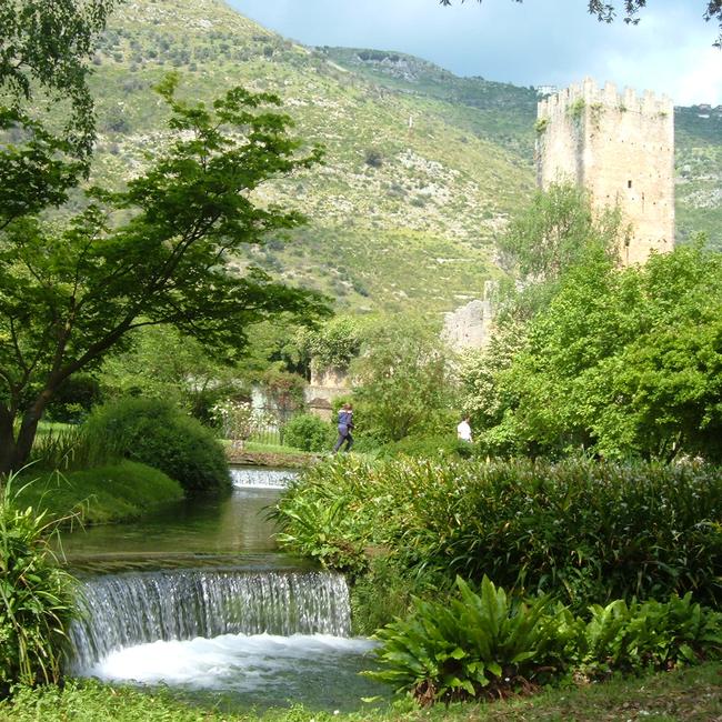 Ninfa (ambienti acquatici)