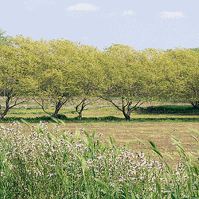 Ente Regionale RomaNatura - Riserva Naturale della Tenuta di Acquafredda
