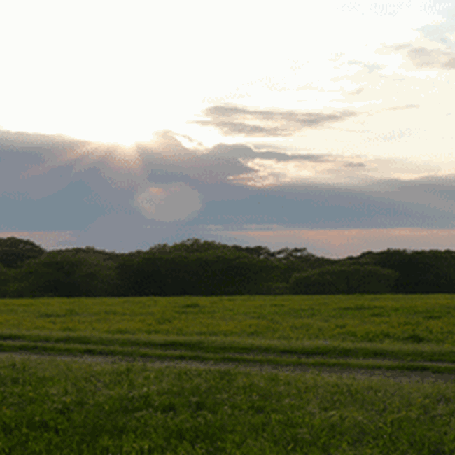 Tenuta di Castelporziano