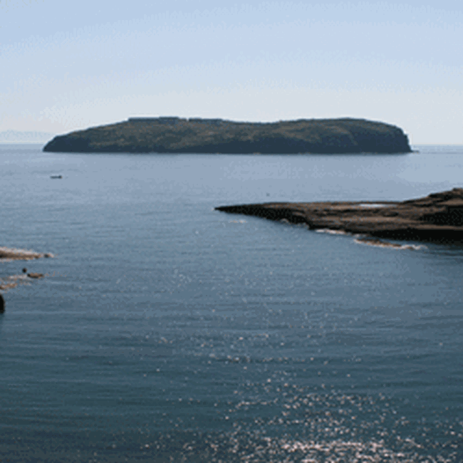 Isole di Ventotene e S. Stefano - Riserva