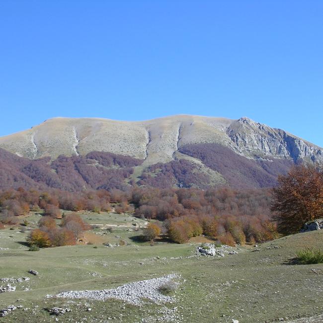 Parco Abruzzo Lazio Molise e Aree Limitrofe ZPS