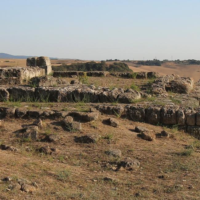 Acropoli di Tarquinia