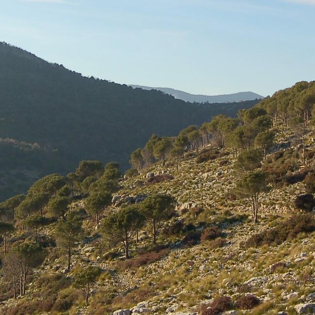 Monti Ausoni e Aurunci