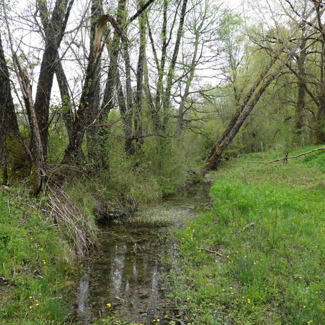 Zona Umida le Rosce - Mola tra le Vene