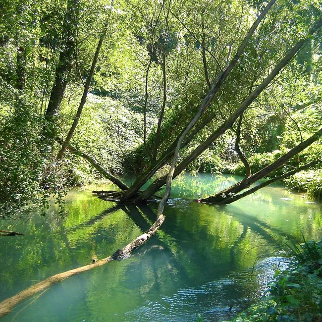 Fiume Farfa (corso medio - alto)