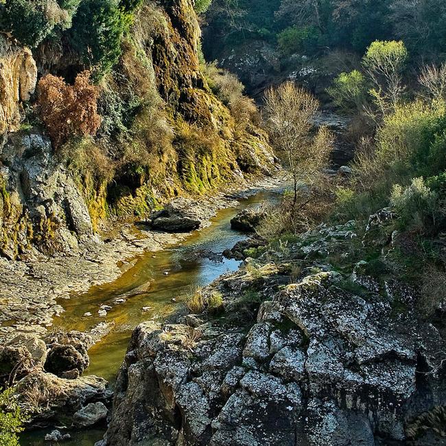 Sistema Fluviale Fiora - Olpeta