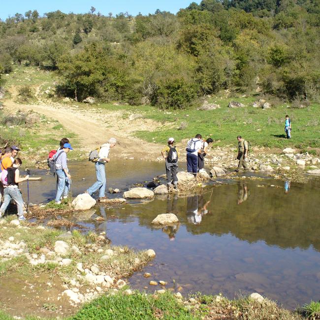 Fiume Mignone (basso corso)