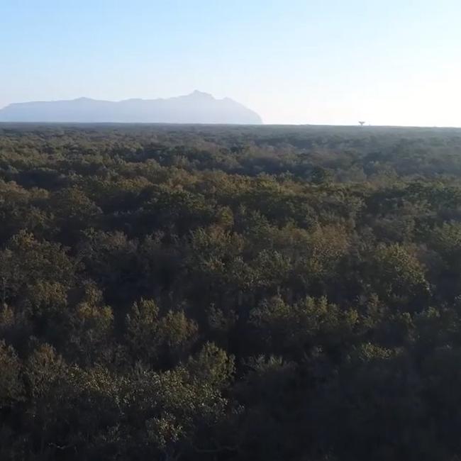 Foresta demaniale del Circeo