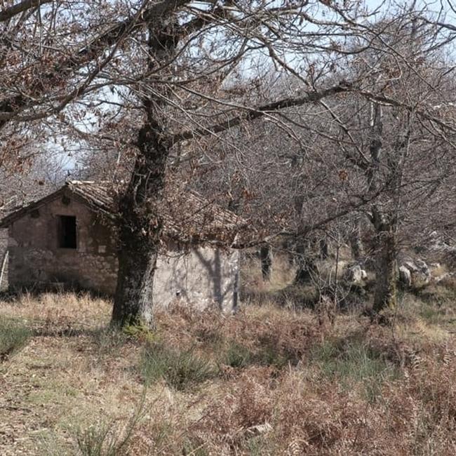 Castagneto Prenestino