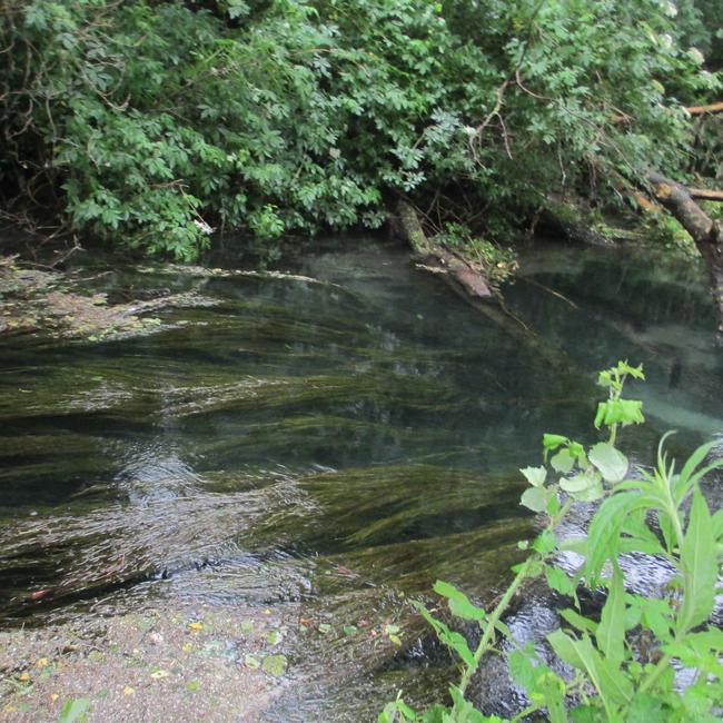 Area Sorgiva del Monticchio