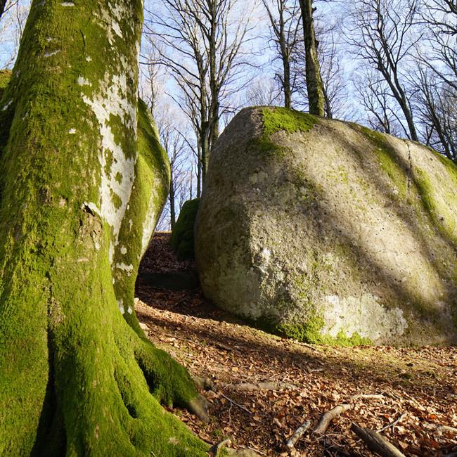 Gli enormi massi lavici di monte Cimino