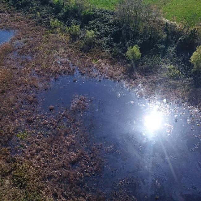 Foto di Marco Pallini