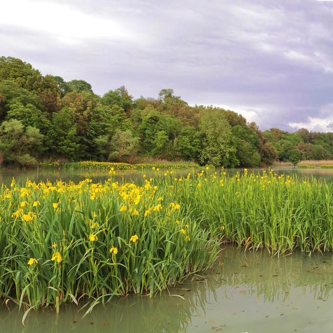 Nazzano, Tevere - Farfa