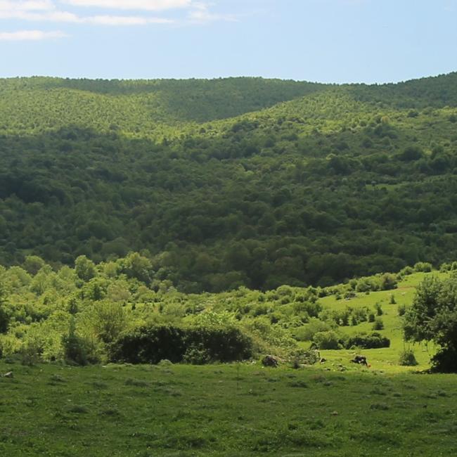 Comprensorio Tolfetano-Cerite-Manziate
