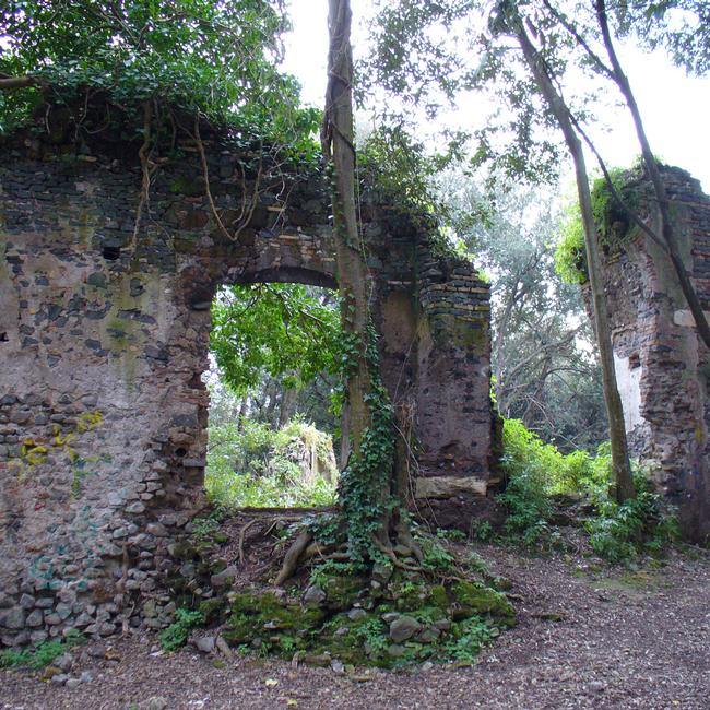 Ente Regionale RomaNatura - Monumento Naturale di Galeria Antica