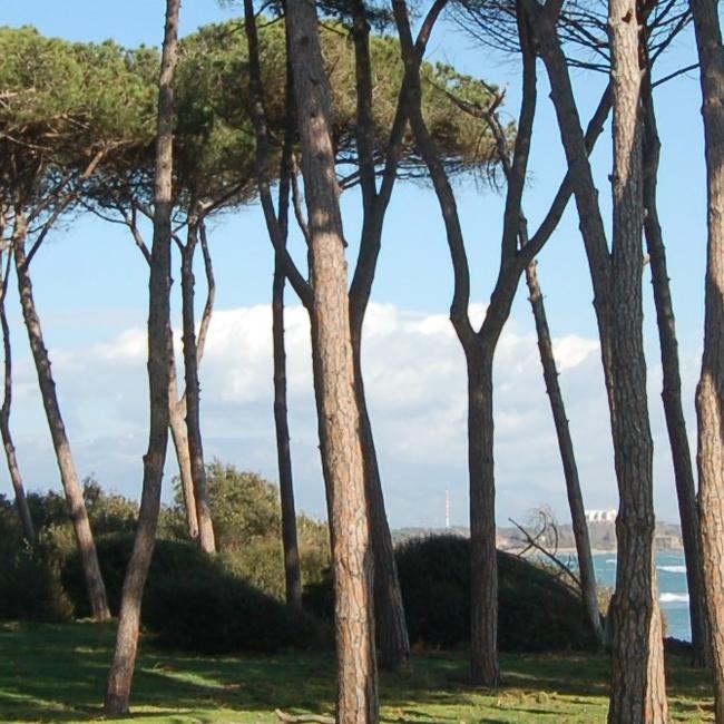 Litorale di Torre Astura