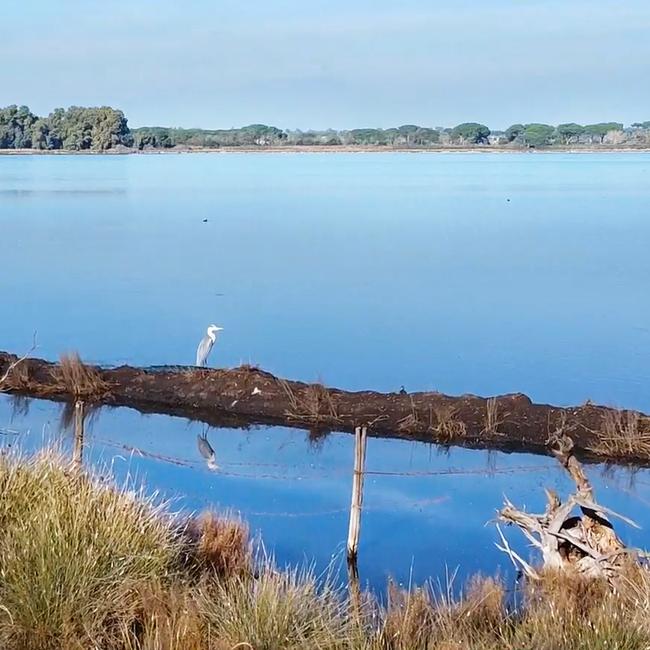 Laghi Fogliano, Monaci, Caprolace e Pantani dell'Inferno