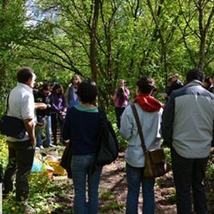 Visite guidate