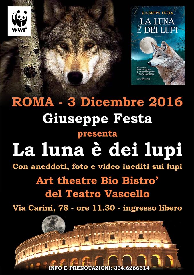I Lupi Del Millennio Libro Galatea Amazon