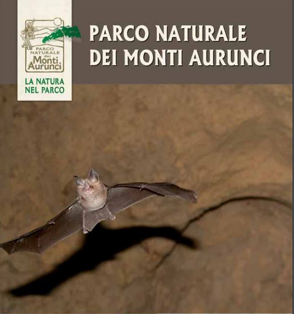 Il Racconto di una ricerca