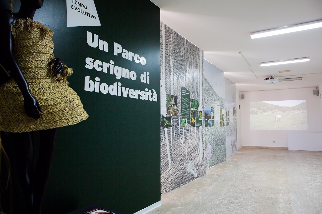 Museo Naturalistico di Spigno Saturnia