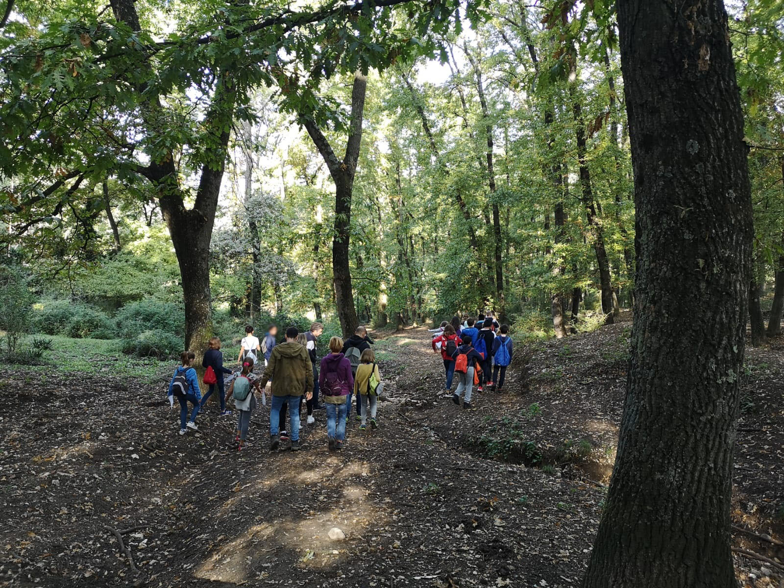 La IV a e la IV b primaria dell'Istituto Scolastico Pablo Neruda di Roma in visita al bosco Trentani.